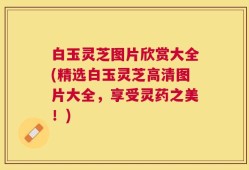 白玉灵芝图片欣赏大全(精选白玉灵芝高清图片大全，享受灵药之美！)