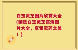 白玉灵芝图片欣赏大全(精选白玉灵芝高清图片大全，享受灵药之美！)