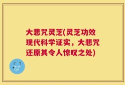 大悲咒灵芝(灵芝功效现代科学证实，大悲咒还原其令人惊叹之处)
