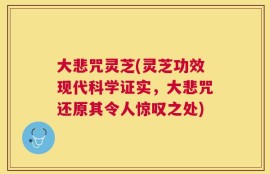 大悲咒灵芝(灵芝功效现代科学证实，大悲咒还原其令人惊叹之处)
