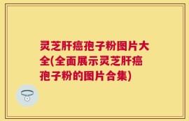 灵芝肝癌孢子粉图片大全(全面展示灵芝肝癌孢子粉的图片合集)