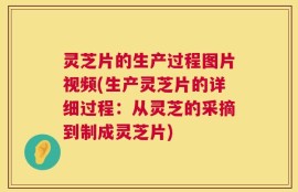 灵芝片的生产过程图片视频(生产灵芝片的详细过程：从灵芝的采摘到制成灵芝片)
