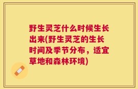 野生灵芝什么时候生长出来(野生灵芝的生长时间及季节分布，适宜草地和森林环境)
