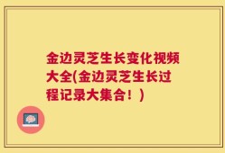 金边灵芝生长变化视频大全(金边灵芝生长过程记录大集合！)