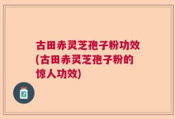 古田赤灵芝孢子粉功效(古田赤灵芝孢子粉的惊人功效)