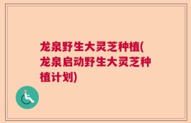 龙泉野生大灵芝种植(龙泉启动野生大灵芝种植计划)