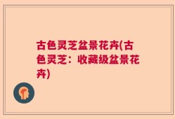 古色灵芝盆景花卉(古色灵芝：收藏级盆景花卉)