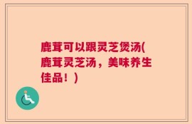 鹿茸可以跟灵芝煲汤(鹿茸灵芝汤，美味养生佳品！)