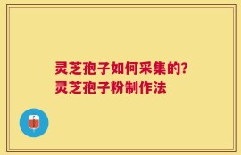 灵芝孢子如何采集的？灵芝孢子粉制作法