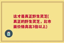 这才是真正野生灵芝(真正的野生灵芝，比市面价格高出3倍以上)