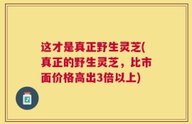 这才是真正野生灵芝(真正的野生灵芝，比市面价格高出3倍以上)