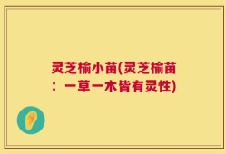 灵芝榆小苗(灵芝榆苗：一草一木皆有灵性)
