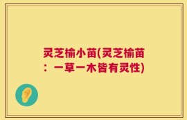 灵芝榆小苗(灵芝榆苗：一草一木皆有灵性)