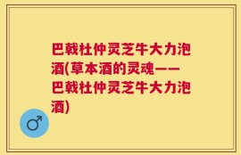 巴戟杜仲灵芝牛大力泡酒(草本酒的灵魂——巴戟杜仲灵芝牛大力泡酒)