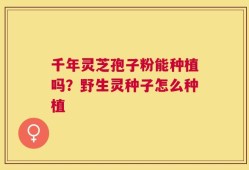 千年灵芝孢子粉能种植吗？野生灵种子怎么种植