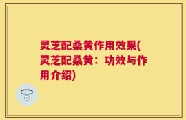 灵芝配桑黄作用效果(灵芝配桑黄：功效与作用介绍)