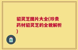 貂灵芝图片大全(珍贵药材貂灵芝的全貌解析)