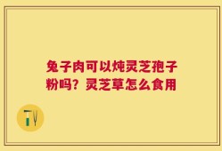 兔子肉可以炖灵芝孢子粉吗？灵芝草怎么食用