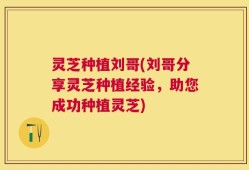 灵芝种植刘哥(刘哥分享灵芝种植经验，助您成功种植灵芝)
