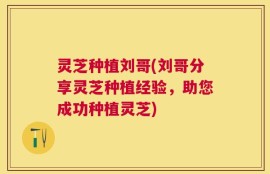 灵芝种植刘哥(刘哥分享灵芝种植经验，助您成功种植灵芝)