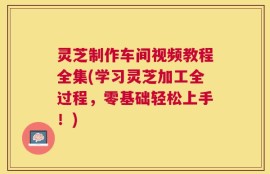 灵芝制作车间视频教程全集(学习灵芝加工全过程，零基础轻松上手！)