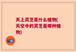 天上灵芝是什么植物(天空中的灵芝是哪种植物)