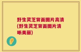 野生灵芝背面图片高清(野生灵芝背面图片清晰美丽)