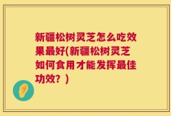 新疆松树灵芝怎么吃效果最好(新疆松树灵芝如何食用才能发挥最佳功效？)