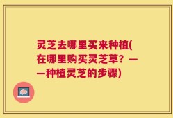 灵芝去哪里买来种植(在哪里购买灵芝草？——种植灵芝的步骤)