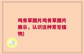 鸡骨草图片鸡骨草图片展示，认识这种常见植物)