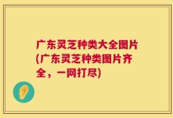 广东灵芝种类大全图片(广东灵芝种类图片齐全，一网打尽)