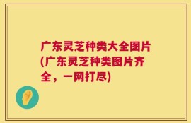 广东灵芝种类大全图片(广东灵芝种类图片齐全，一网打尽)