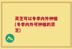 灵芝可以冬季内外种植(冬季内外可种植的灵芝)