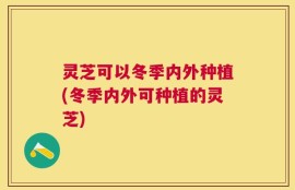 灵芝可以冬季内外种植(冬季内外可种植的灵芝)