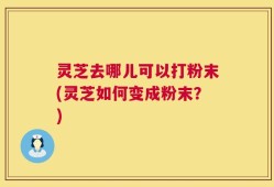 灵芝去哪儿可以打粉末(灵芝如何变成粉末？)
