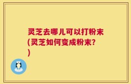 灵芝去哪儿可以打粉末(灵芝如何变成粉末？)