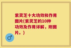 紫灵芝十大功效和作用图片(紫灵芝的10种功效及作用详解，附图片。)