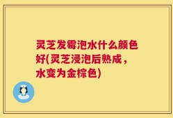 灵芝发霉泡水什么颜色好(灵芝浸泡后熟成，水变为金棕色)
