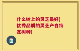 什么树上的灵芝最好(优秀品质的灵芝产自特定树种)