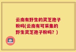 云南有野生的灵芝孢子粉吗(云南有可采集的野生灵芝孢子粉吗？)