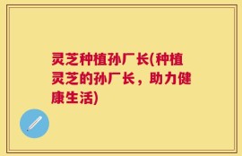 灵芝种植孙厂长(种植灵芝的孙厂长，助力健康生活)