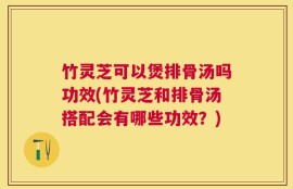 竹灵芝可以煲排骨汤吗功效(竹灵芝和排骨汤搭配会有哪些功效？)