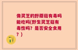 像灵芝的野蘑菇有毒吗能吃吗(野生灵芝菇有毒性吗？是否安全食用？)