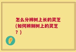 怎么分辨树上长的灵芝(如何辨别树上的灵芝？)