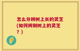 怎么分辨树上长的灵芝(如何辨别树上的灵芝？)