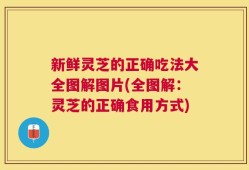 新鲜灵芝的正确吃法大全图解图片(全图解：灵芝的正确食用方式)