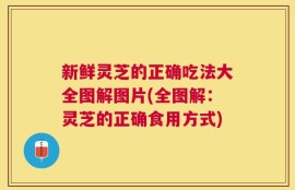 新鲜灵芝的正确吃法大全图解图片(全图解：灵芝的正确食用方式)