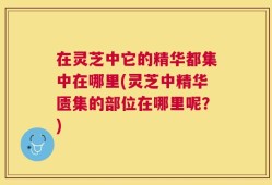 在灵芝中它的精华都集中在哪里(灵芝中精华匮集的部位在哪里呢？)