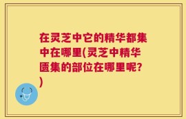 在灵芝中它的精华都集中在哪里(灵芝中精华匮集的部位在哪里呢？)