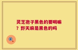 灵芝孢子黑色的要喝嘛？野天麻是黑色的吗